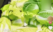 一则谣言毁了近200亩白菜，损失逾百万！责任谁担？