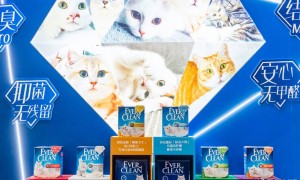 一公斤猫砂比大米还贵，为何还是不怎么赚钱？