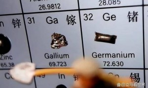 关于稀土，中方提了一个要求，马斯克等巨头没得选只能服从
