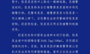 成都警方通报“交警用警棍击打疑醉酒逃逸司机”