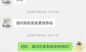 沈阳一店铺老板假借领养名义烹食流浪狗，警方回应